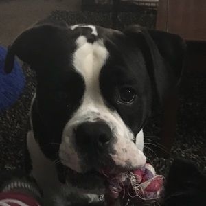 Meet your Posher, Anna